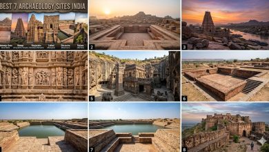 Mohenjo-Daro+Hampi+Khajuraho+Nandiham+Lothal+Dholavira+Raisen+'Best 7 India'
